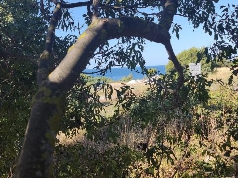 Grundstück zu verkaufen 719 m² – Premantura