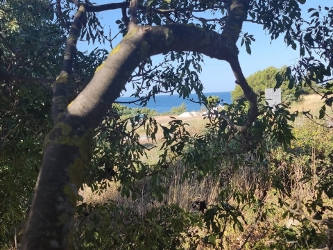 Terreno In vendita