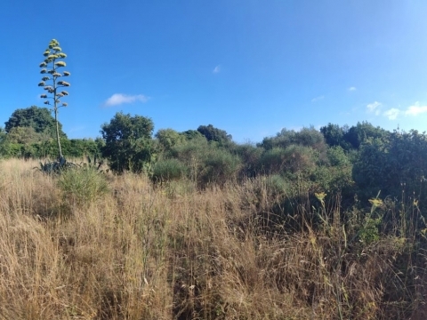 Land For sale - ISTARSKA Medulin