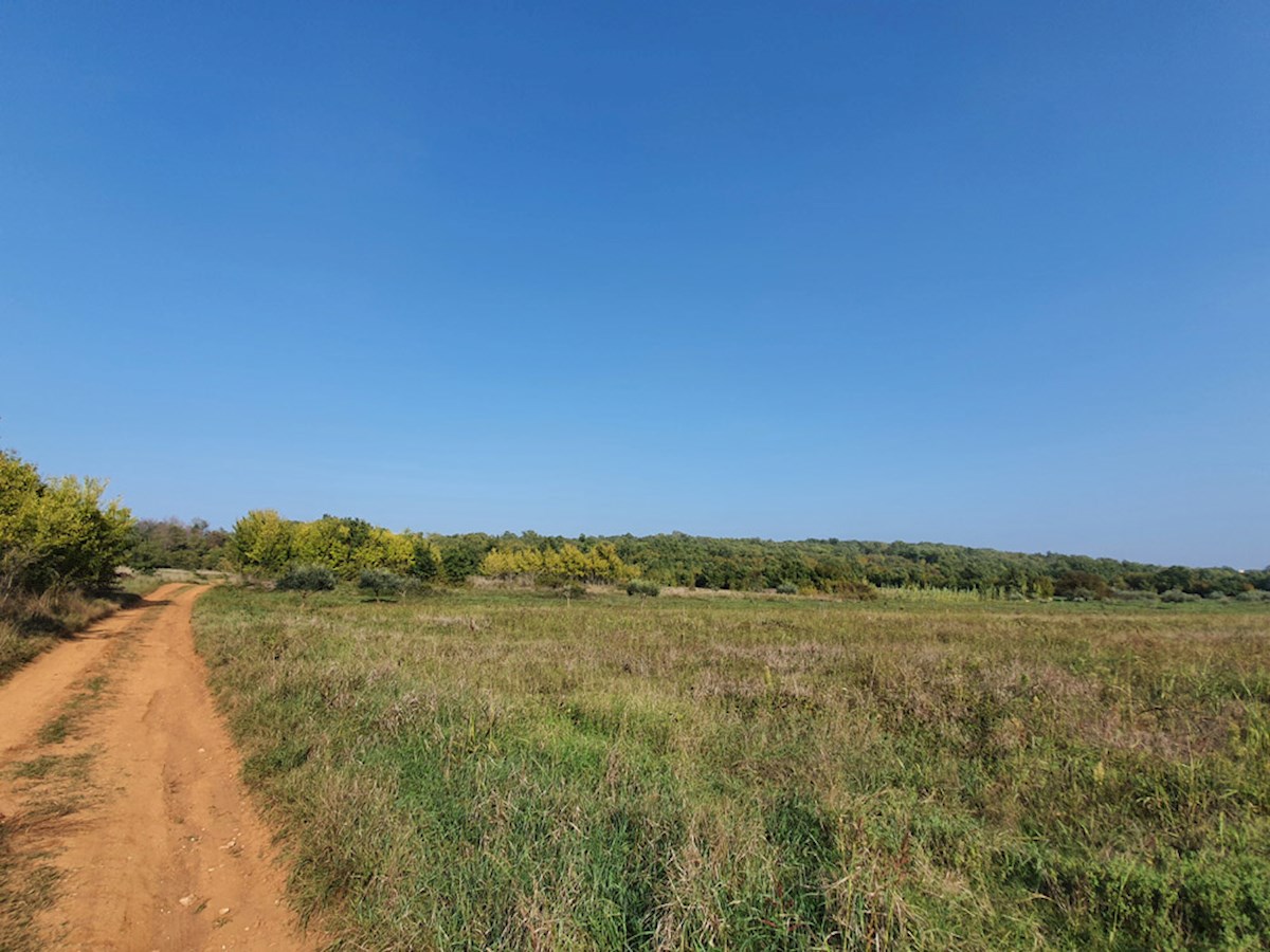 Działka Na sprzedaż - ISTARSKA POREČ