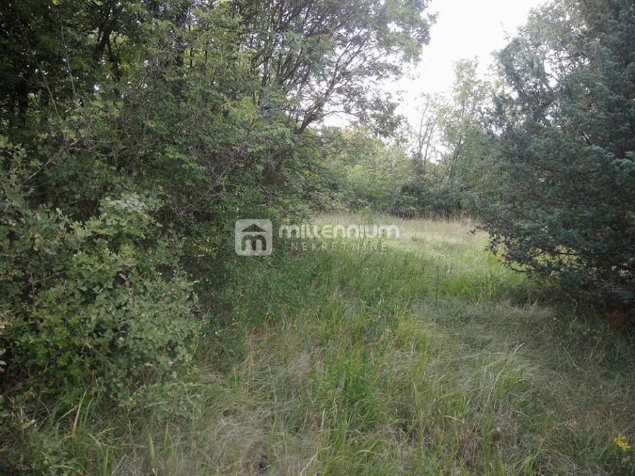 Land For sale - ISTARSKA BALE