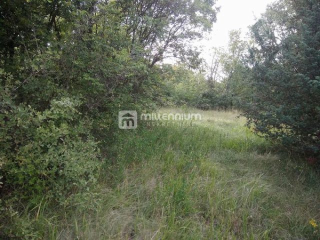 Pozemok na predaj 7610 m² – Bale