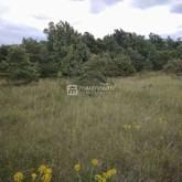 Land For sale - ISTARSKA BALE