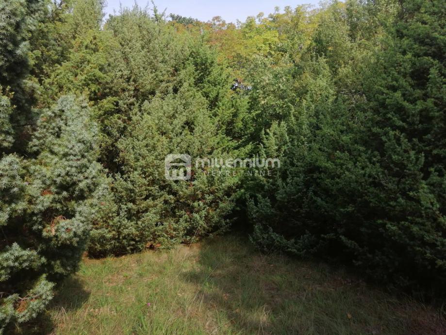 Land For sale - ISTARSKA BALE