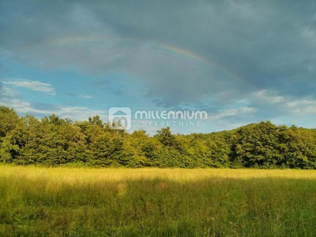 Terrain à vendre 24999 m² – Labin