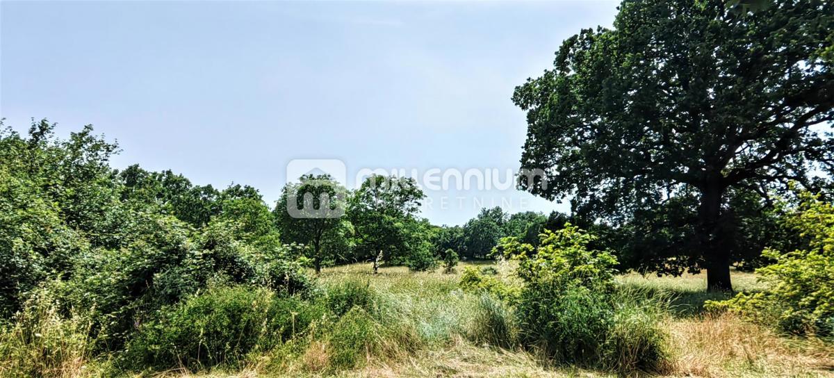 House For sale - ISTARSKA Labin