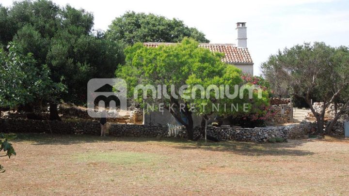 House For sale - Primorsko-goranska Cres - foto 2/12