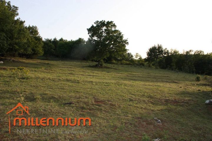 Pozemok Na predaj - Istarska Karojba - foto 4/7