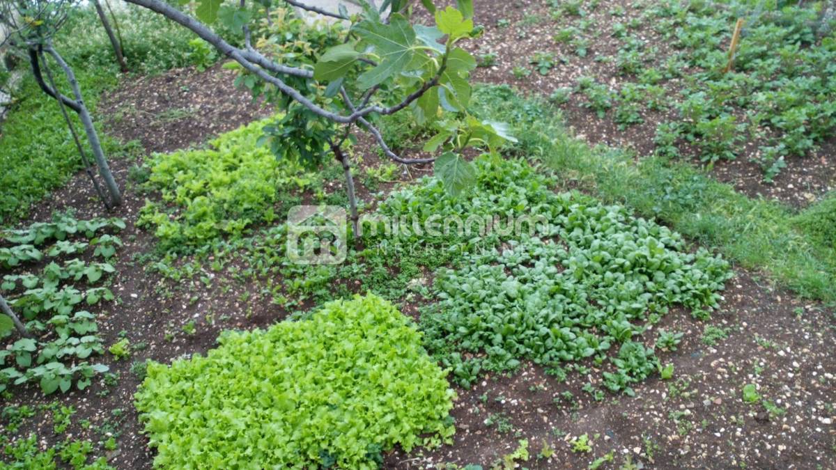 House For sale - Primorsko-goranska Novi Vinodolski - foto 3/8