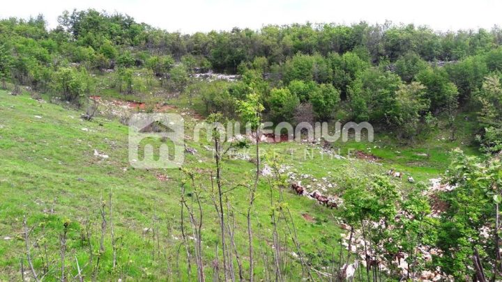 Land for sale 7557 m² – Rijeka