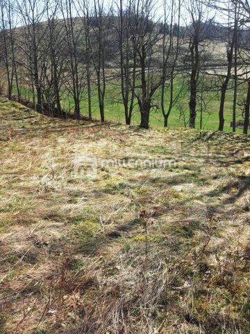 Parcela Naprodaj - Primorsko-goranska Mrkopalj - foto 2/7