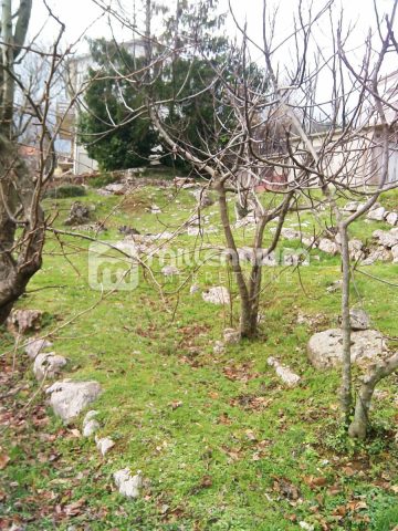Zemljište na prodaju 1000 m² – Veprinac