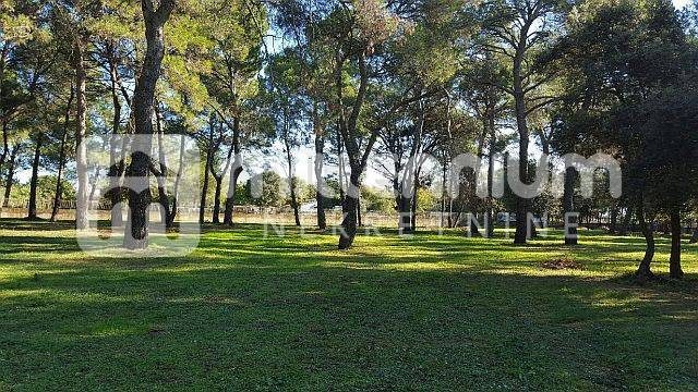 Terrain à vendre 12058 m² – Rovinj