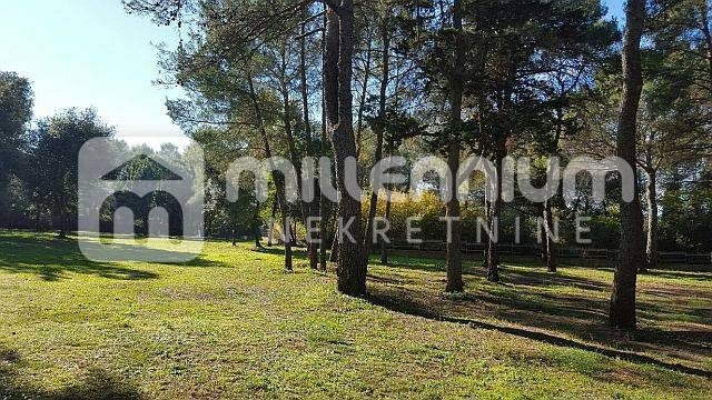 Pozemek Na prodej - Istarska Rovinj - foto 2/13