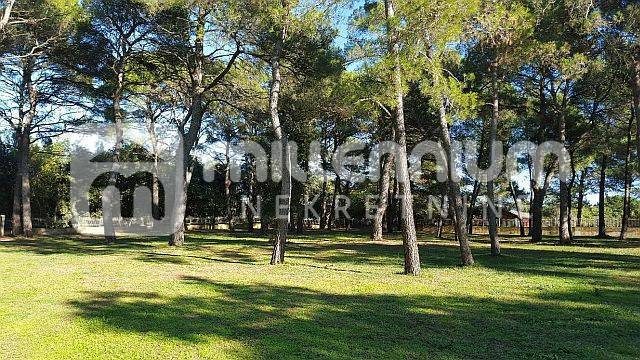 Pozemek Na prodej - Istarska Rovinj - foto 4/13