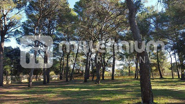 Terrain À vendre - ISTARSKA ROVINJ