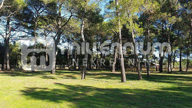 Terrain À vendre - Istarska Rovinj - foto 4/13