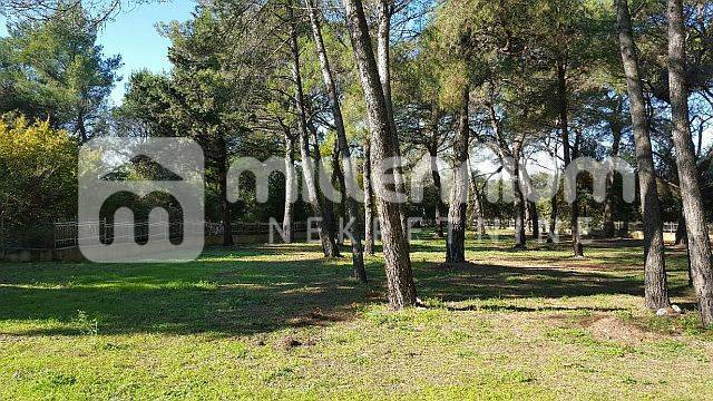 Terrain À vendre - Istarska Rovinj - foto 5/13