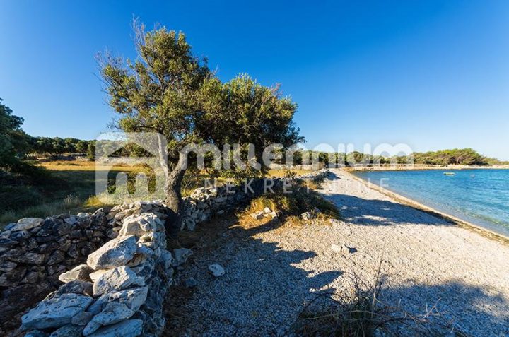 Land for sale 17000 m² – Mandre