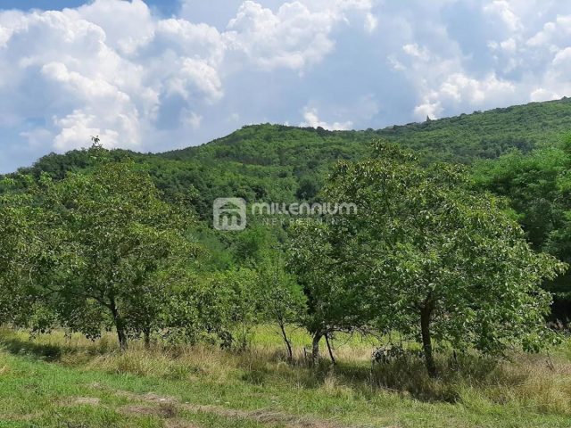 Parcela Naprodaj - Istarska Buzet - foto 2/4