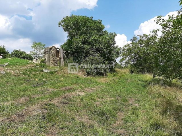 Parcela Naprodaj - Istarska Buzet - foto 3/4