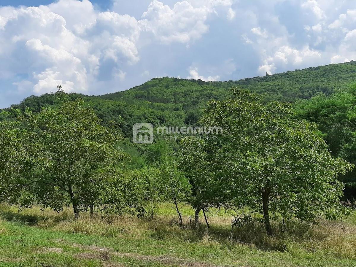 Land For sale - ISTARSKA BUZET