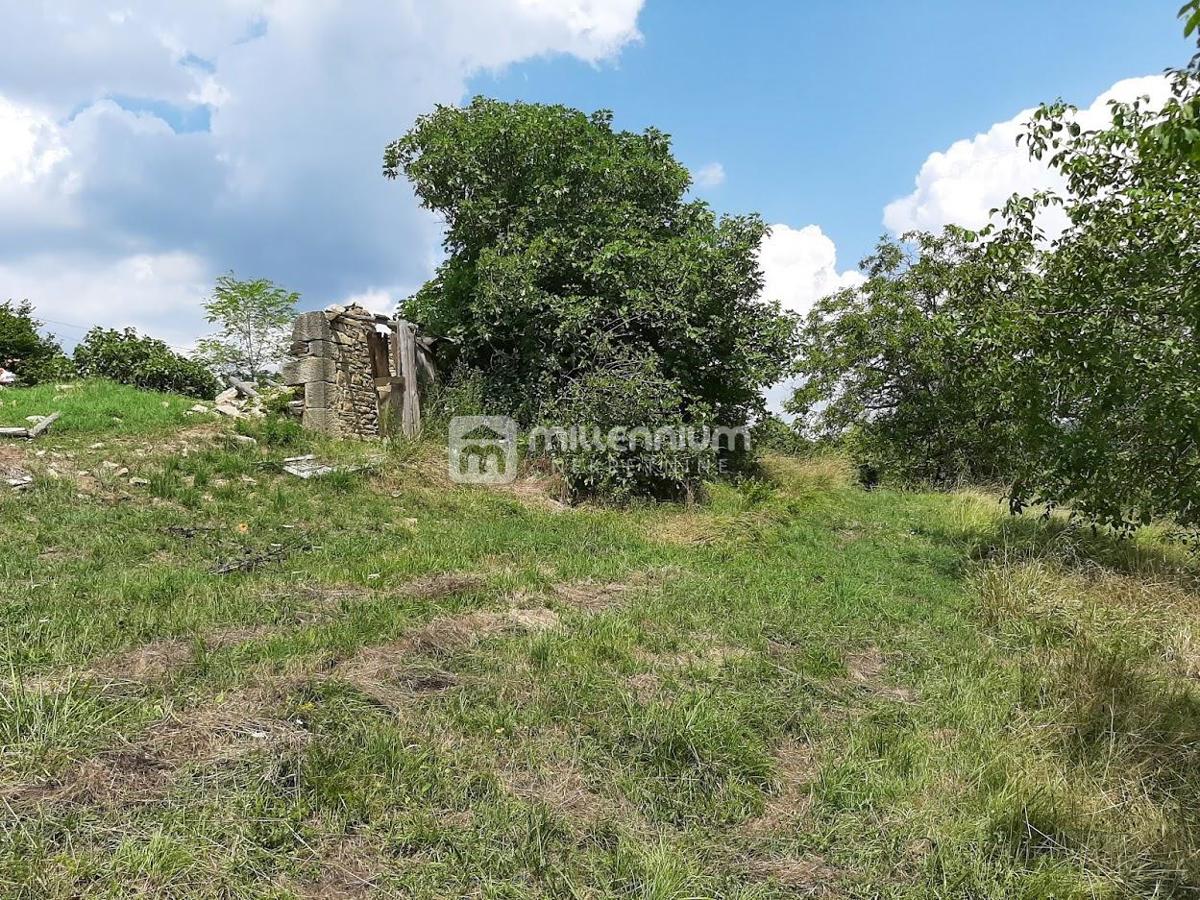 Land For sale - ISTARSKA BUZET