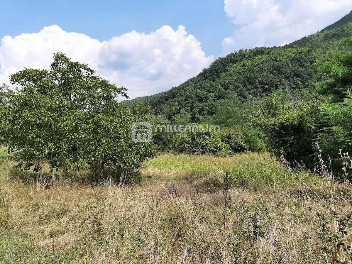 Land For sale - ISTARSKA BUZET