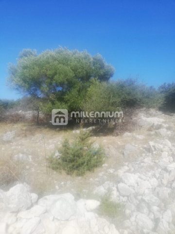 Parcela na predaj 30785 m² – Novalja