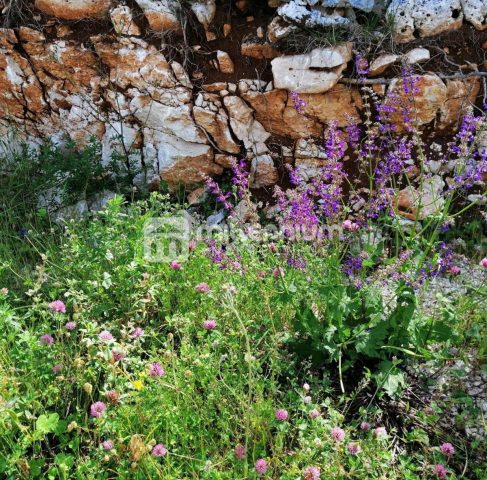 Parcela Naprodaj - Istarska Labin - foto 5/5