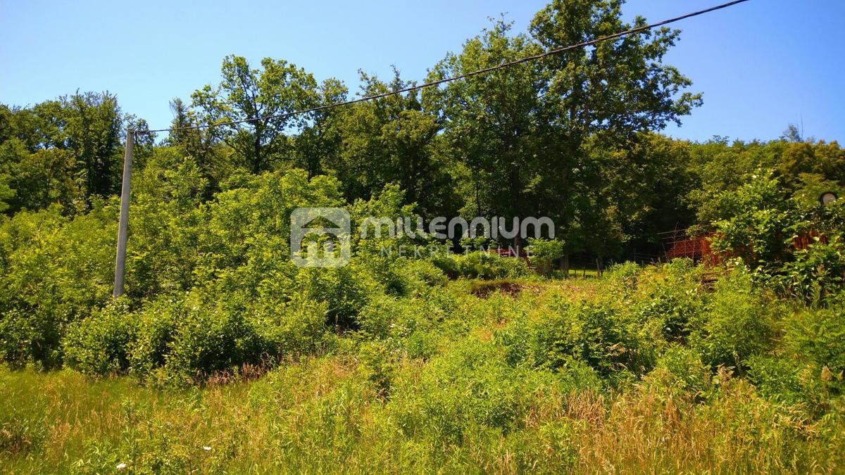 Land For sale - PRIMORSKO-GORANSKA JELENJE