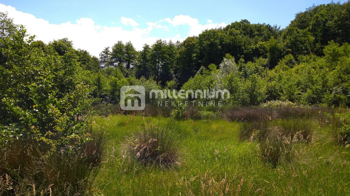 Land For sale - PRIMORSKO-GORANSKA JELENJE