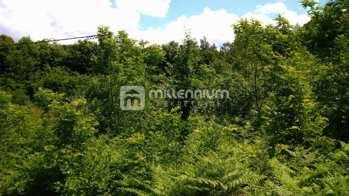 Land For sale - PRIMORSKO-GORANSKA JELENJE