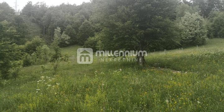 Land for sale 7400 m² – Zlobin