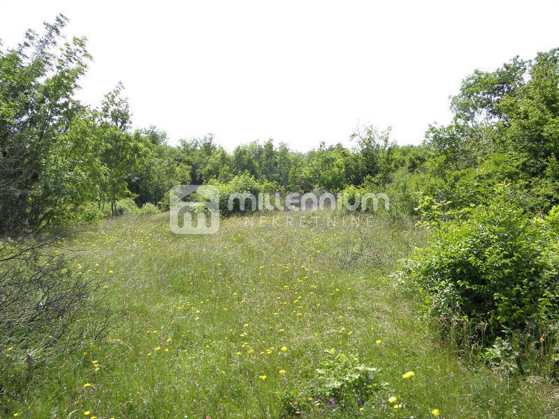 Terreno In vendita - ISTARSKA SVETA NEDELJA