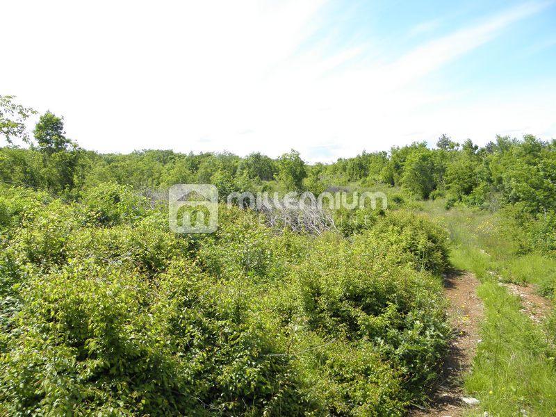 Terreno In vendita - ISTARSKA SVETA NEDELJA