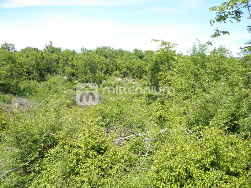 Terreno In vendita - ISTARSKA SVETA NEDELJA