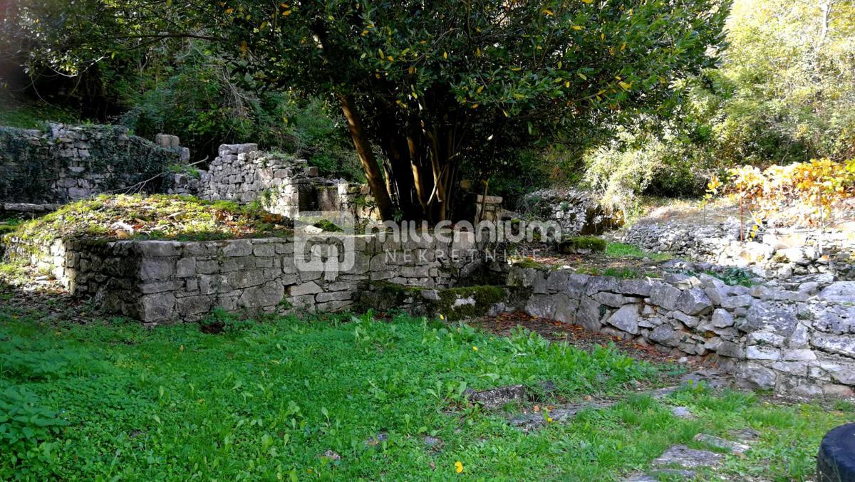 House For sale - ISTARSKA BUZET