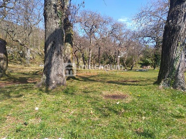 Pozemek na prodej 2640 m² – Dobreć