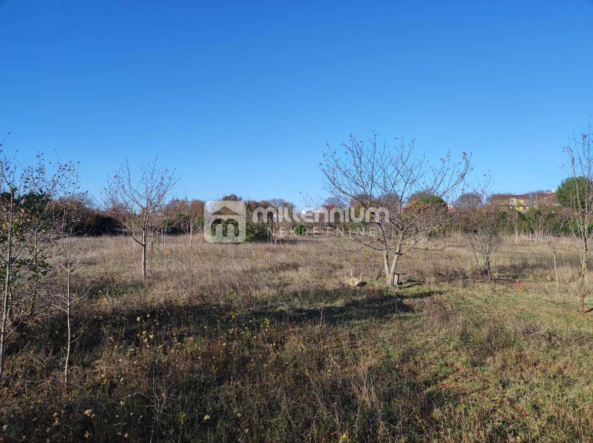 Land For sale - ISTARSKA ROVINJ