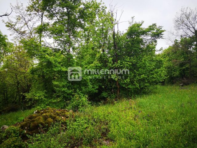 Parcela na predaj 66228 m² – Ročko Polje