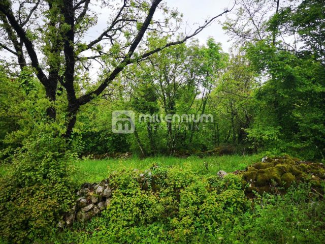 Zemljište Na prodaju - Istarska Buzet - foto 2/4