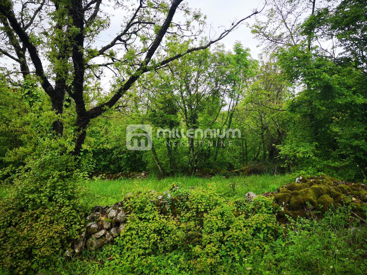 Terreno In vendita - ISTARSKA BUZET