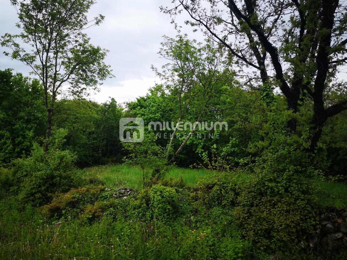 Terreno In vendita - ISTARSKA BUZET
