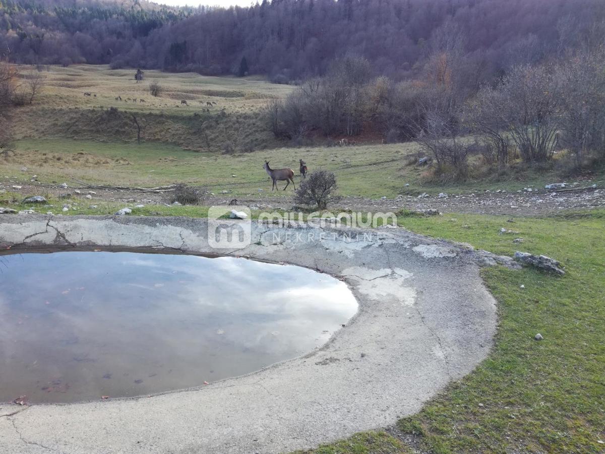 Pozemok Na predaj - KARLOVAČKA OGULIN