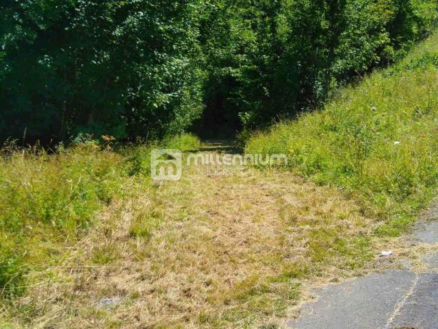 Pozemek na prodej 35159 m² – Vrata