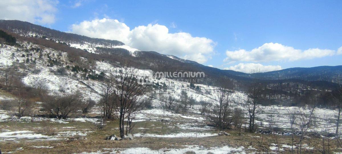 Land For sale - LIČKO-SENJSKA SENJ