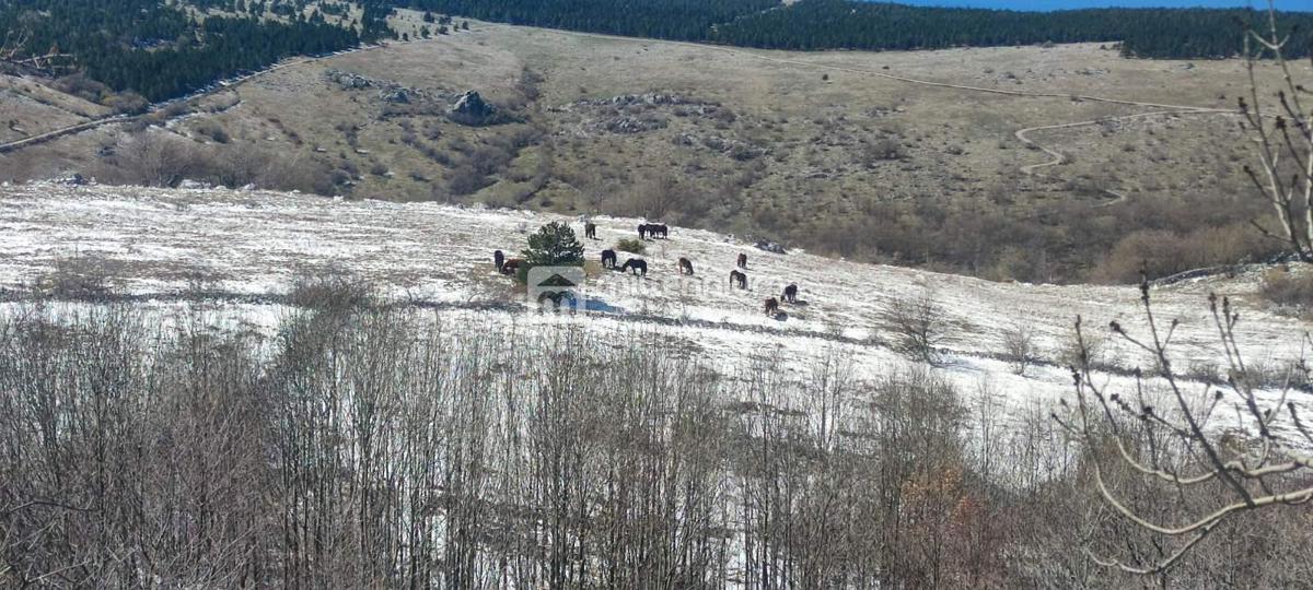 Terreno In vendita - LIČKO-SENJSKA SENJ