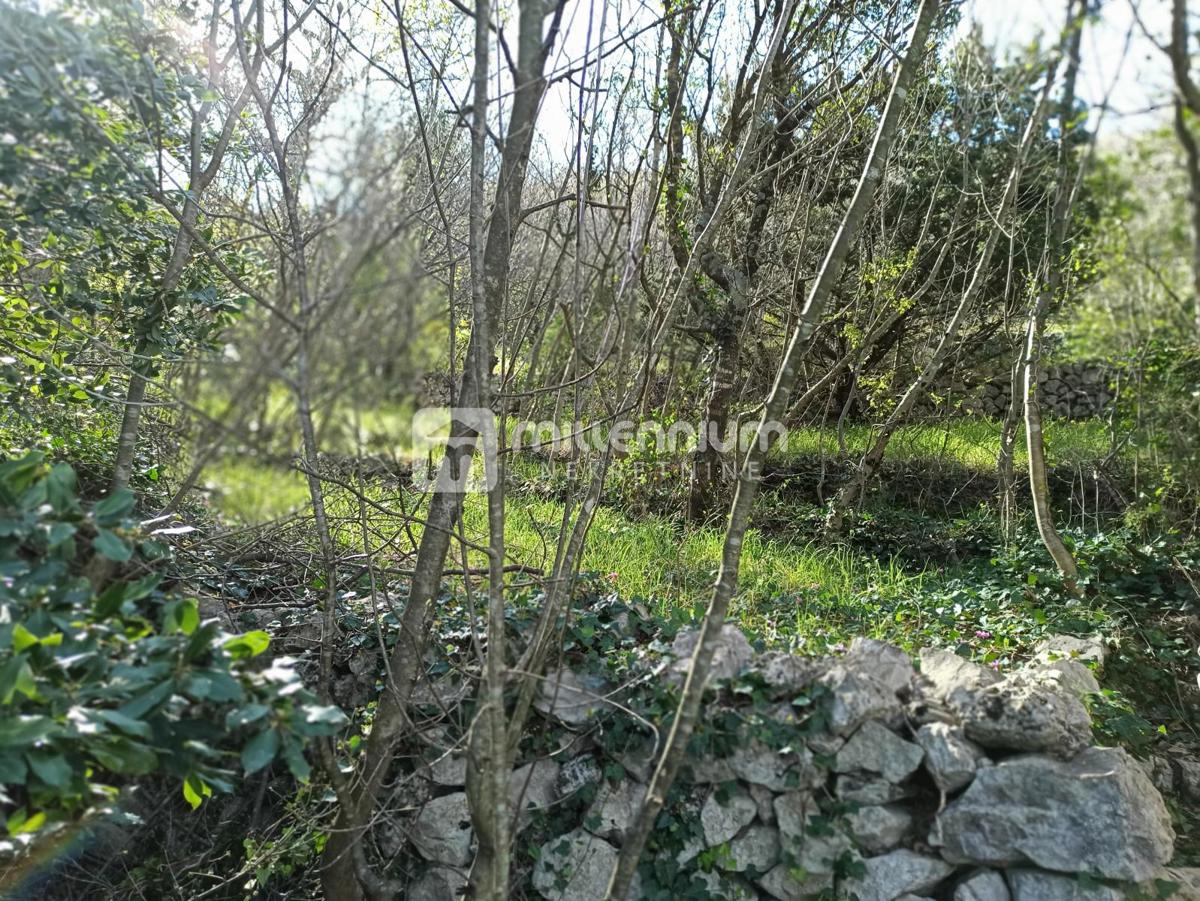 Land For sale - LIČKO-SENJSKA SENJ