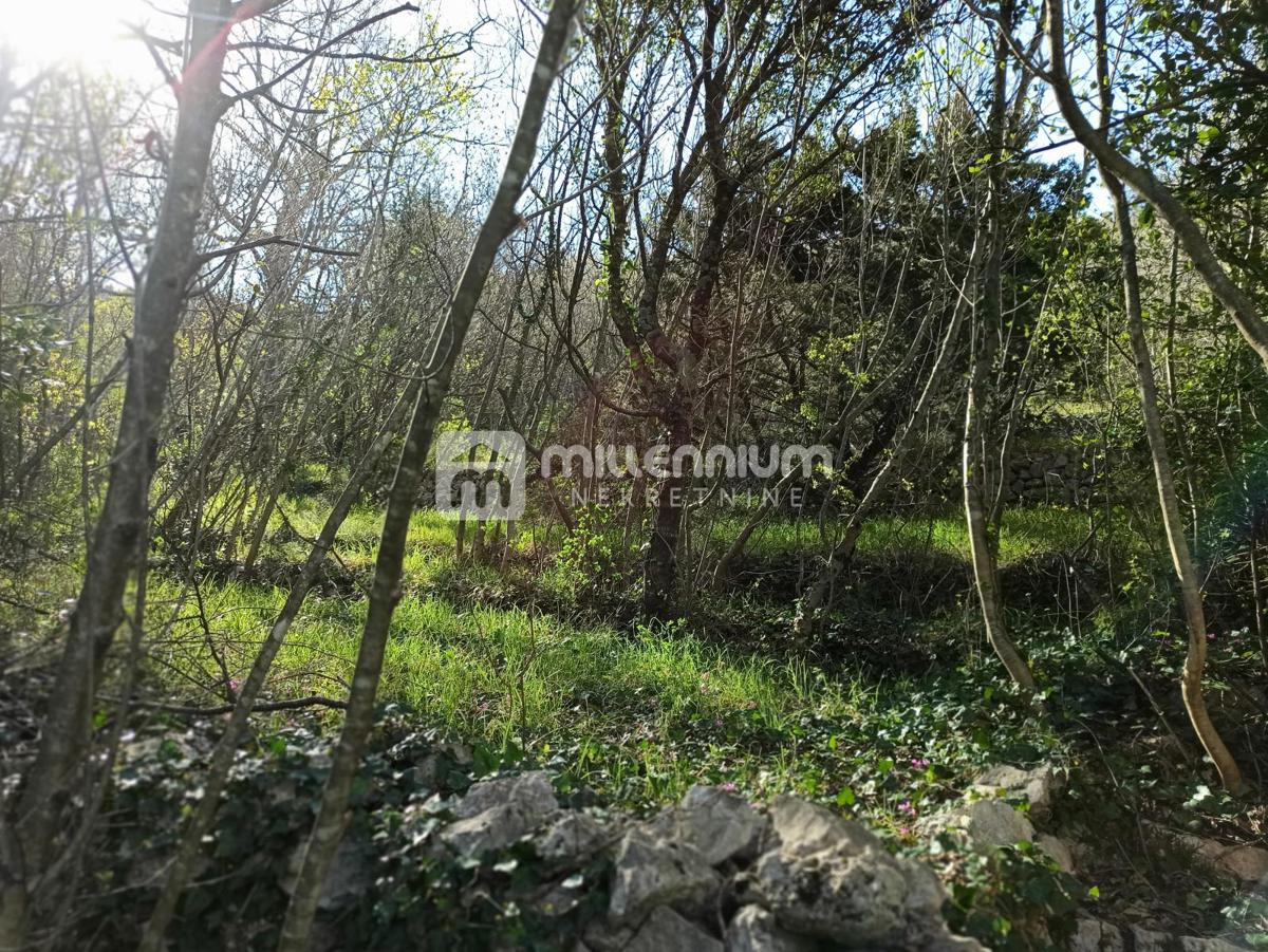 Land For sale - LIČKO-SENJSKA SENJ